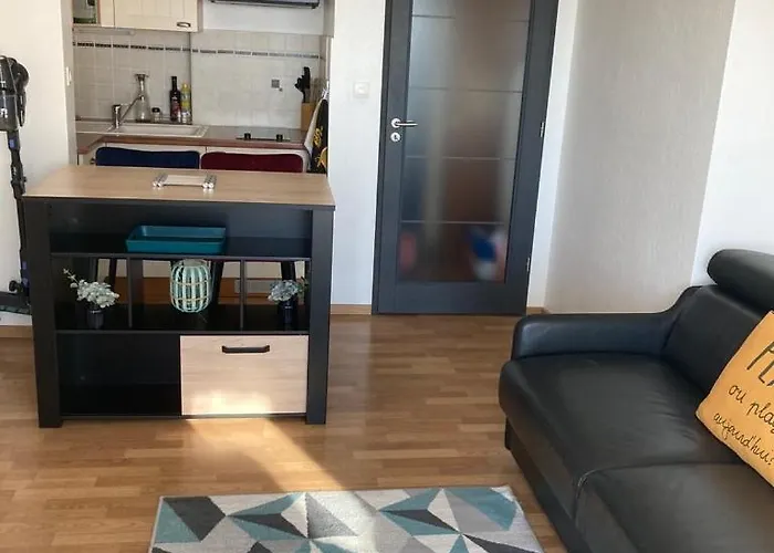 公寓 Les Pieds Dans L'eau 莱萨布勒-多洛讷